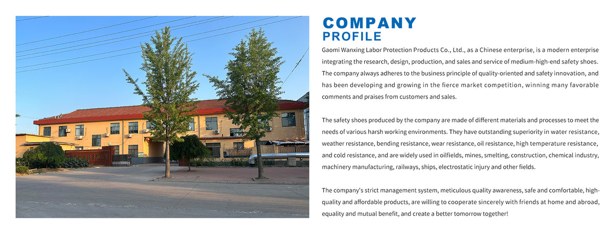 wanxingsaftyshoes.com